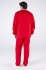 Мужской костюм ХАССП-Стандарт (ткань Оптима, 160), красный